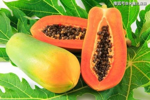 朝堂吃瓜26,揭秘26位权臣的宫廷吃瓜史  第3张