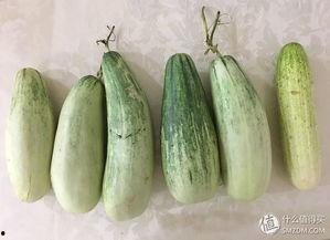 上班吃瓜经历,揭秘职场八卦背后的真相