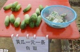 女寝室的吃瓜,揭秘宿舍里的八卦盛宴