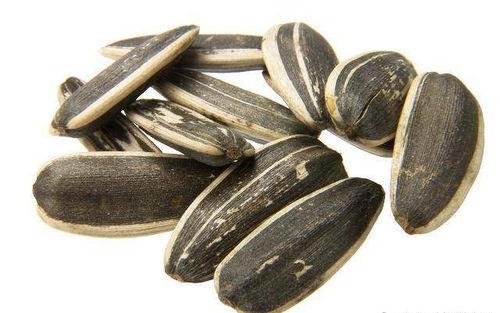 装瓜吃花生,共享丰收乐