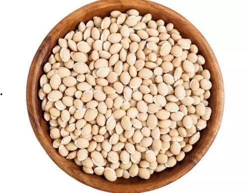 豆哥吃瓜,揭秘娱乐圈那些不为人知的幕后故事