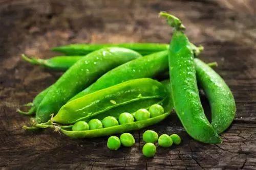 豆哥吃瓜,揭秘娱乐圈那些不为人知的幕后故事  第3张