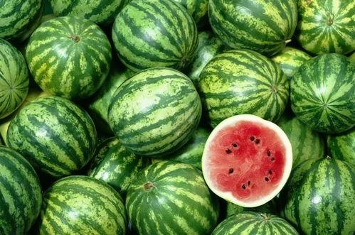 梦见夹了个咸瓜吃,咸瓜夹中的味蕾冒险  第3张