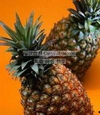 北海菠萝瓜怎么吃,北海菠萝瓜的多彩食法探索