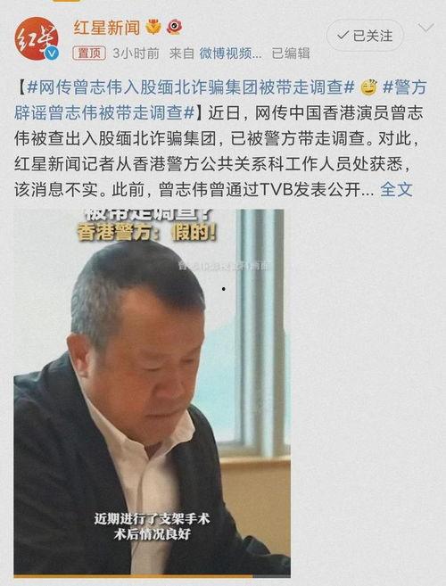 吃瓜郑志伟  第2张