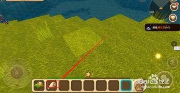 迷你世界吃瓜怎么吃,轻松解锁美味新姿势  第3张