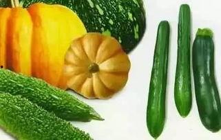 何时贞 吃瓜,揭秘娱乐圈的瓜田秘闻  第2张