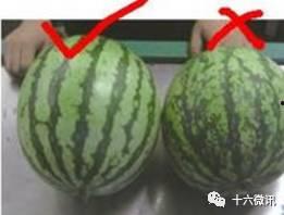 用挖瓜勺吃哈密瓜,尽享哈密瓜的甘甜滋味  第2张