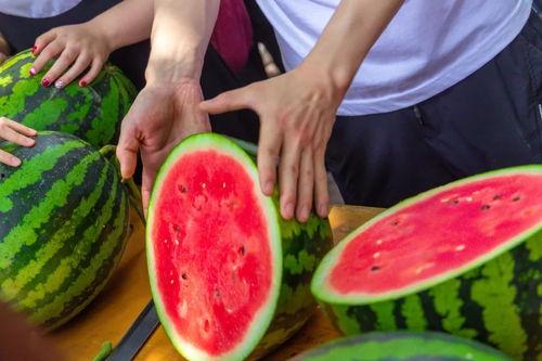 吃瓜师堂,揭秘娱乐圈幕后故事  第2张