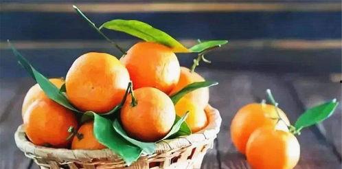 橘总吃瓜,揭秘娱乐圈幕后风云 第2张 橘总吃瓜,揭秘娱乐圈幕后风云 第2张