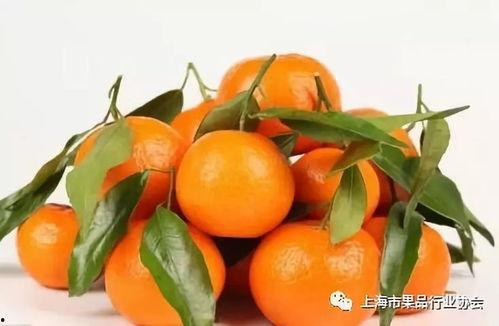 橘总吃瓜,揭秘娱乐圈幕后风云 第3张 橘总吃瓜,揭秘娱乐圈幕后风云 第3张