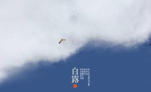 白露吃瓜的视频,跟随白露吃瓜视频探寻秋季美食之旅