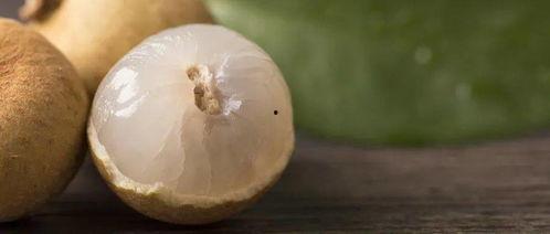 白露吃瓜的视频,跟随白露吃瓜视频探寻秋季美食之旅  第2张