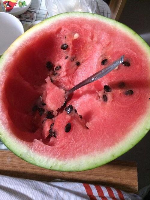 白露吃瓜的视频,跟随白露吃瓜视频探寻秋季美食之旅  第3张