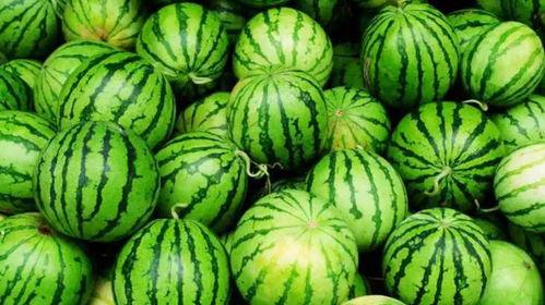 吃瓜几集,一集一真相，带你领略娱乐圈风云变幻