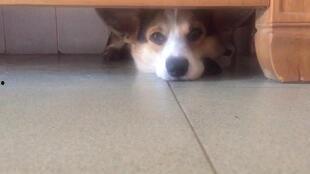 啾咪吃瓜,揭秘娱乐圈那些不为人知的幕后故事  第3张