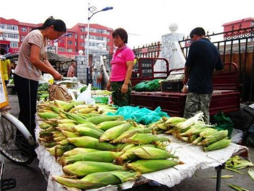 鹤岗职业吃瓜,揭秘网络红人的另类生存之道  第3张