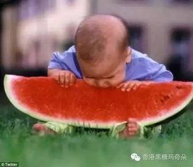 热心网友边吃瓜,网友热议背后的社会现象  第3张