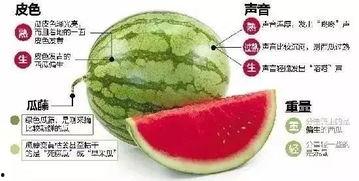 微信一个吃瓜,微信吃瓜事件，真相竟然如此惊人！  第3张