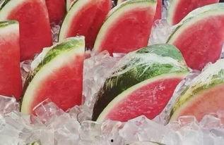 吃瓜鹅每日专用,吃瓜鹅每日专用，带你领略明星幕后故事  第2张