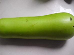 葫芦瓜嫩叶可以吃吗,绿色餐桌上的美味佳肴 第1张 葫芦瓜嫩叶可以吃吗,绿色餐桌上的美味佳肴 第1张