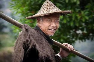 吃瓜老王金铲铲,揭秘游戏背后的趣味与策略