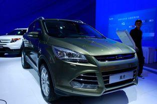 路边吃瓜翼虎,揭秘街头美食的独特魅力  第2张