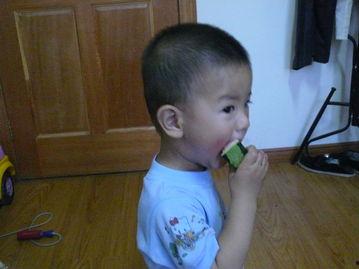 动物吃小猪的瓜,动物食猪之谜探究  第2张